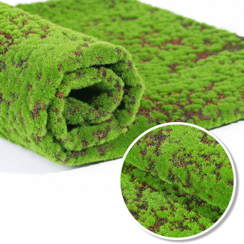 Sphagnum Moss Dry - หญ้ามอสเทียม DIY ทนทาน ใช้งานได้นาน ขนาด 50*50