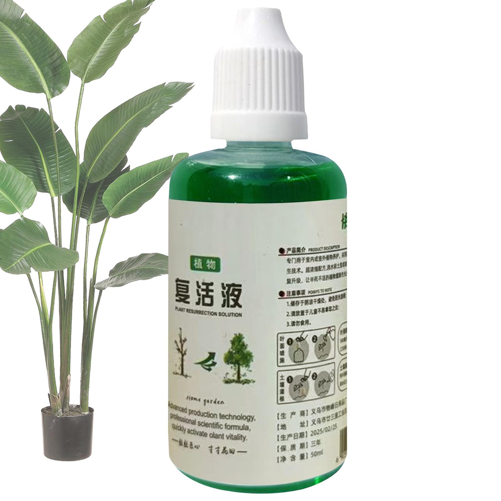 Root Stimulator Liquid - น้ำยากระตุ้นรากพืช ปุ๋ยเหลวฟื้นฟูพืช สารกระตุ้นราก สารอาหารเร่งราก 5 ชิ้น