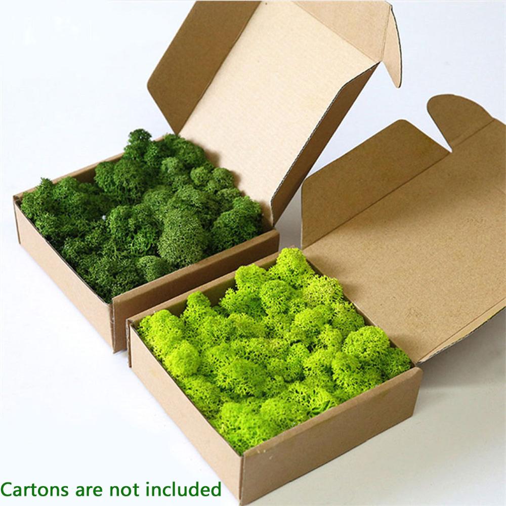 Sphagnum Moss Dry - ประดิษฐ์ชีวิตนิรันดร์ MOSS Garden บ้านงานแต่งงานตกแต่งดอกไม้ DIY Micro
