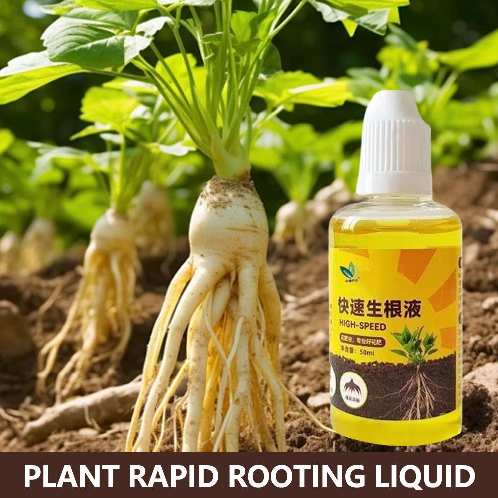 Root Stimulator Liquid - น้ำยากระตุ้นรากพืชสีเขียว น้ำยาเร่งการเจริญเติบโตของราก สารอาหารเร่งการงอกของต้นกล้า สารเร่งการงอกของดอกไม้ น้ำยาบำรุงราก G3X1