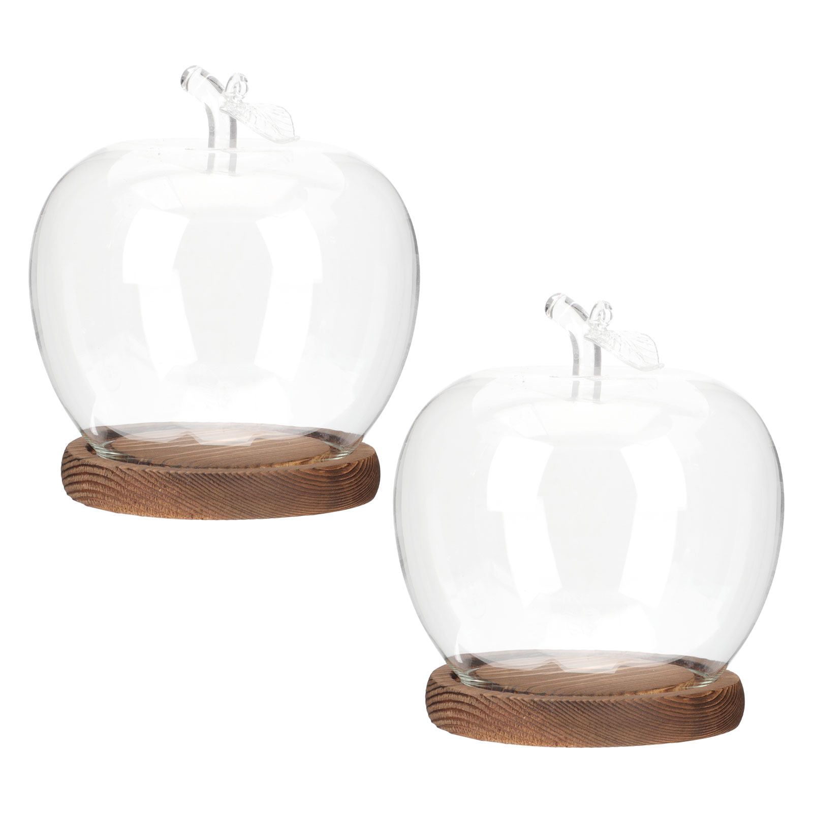 Plastic Dome Clear - โดมแก้วใส 2 ชิ้นพร้อมฐานไม้ สำหรับโชว์สินค้า ป้องกันฝุ่น สำหรับต้นไม้