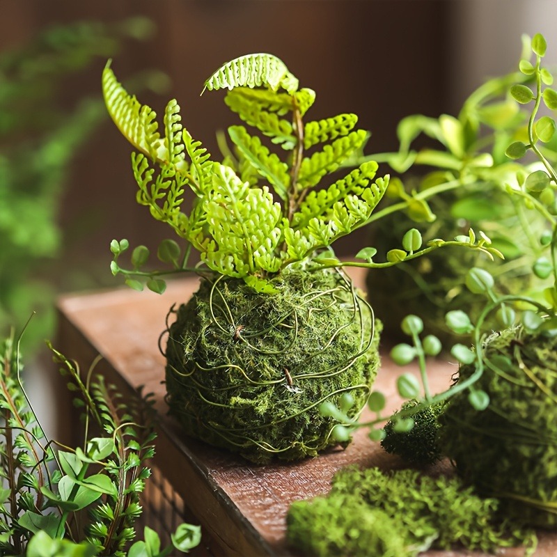 กระถางมอสบอลประดิษฐ์, ภาชนะปลู - Sphagnum Moss Dry บทวิจารณ์และราคา