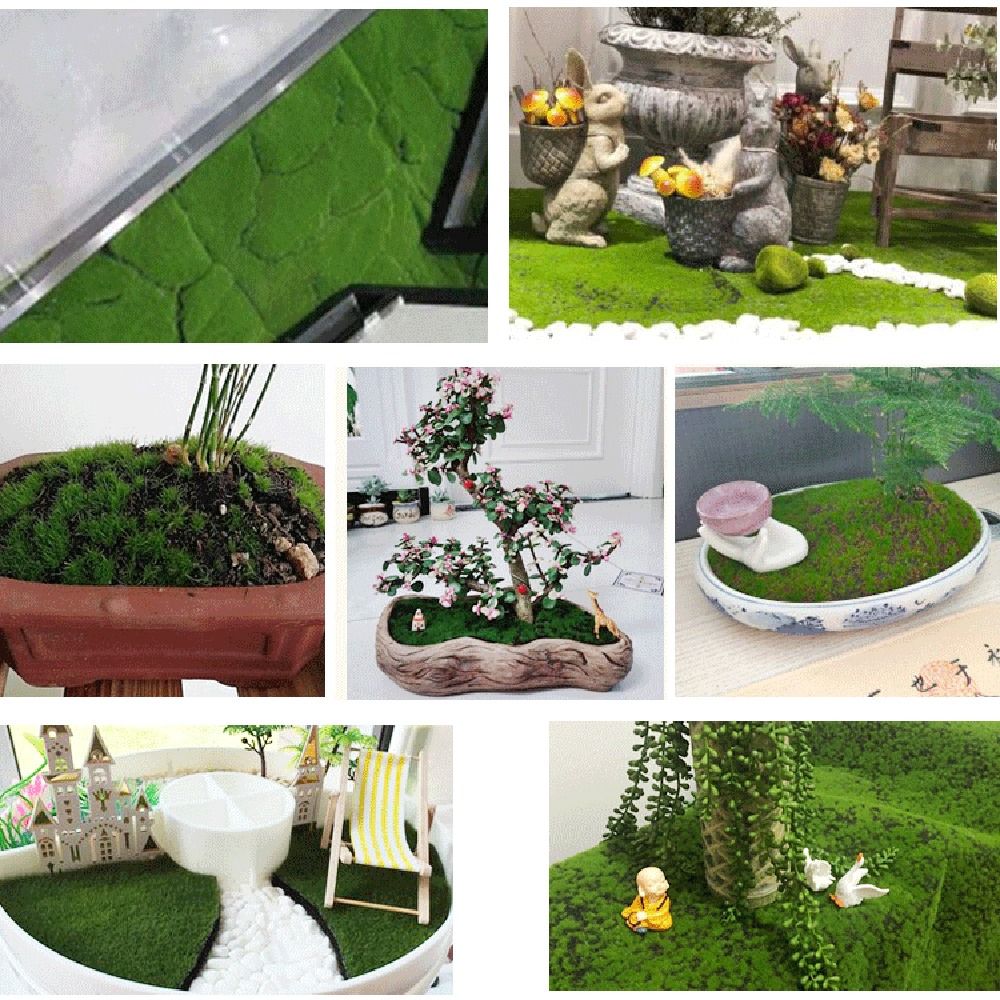 หญ้ามอสเทียม DIY ทนทาน ใช้งานไ - Sphagnum Moss Dry บทวิจารณ์และราคา