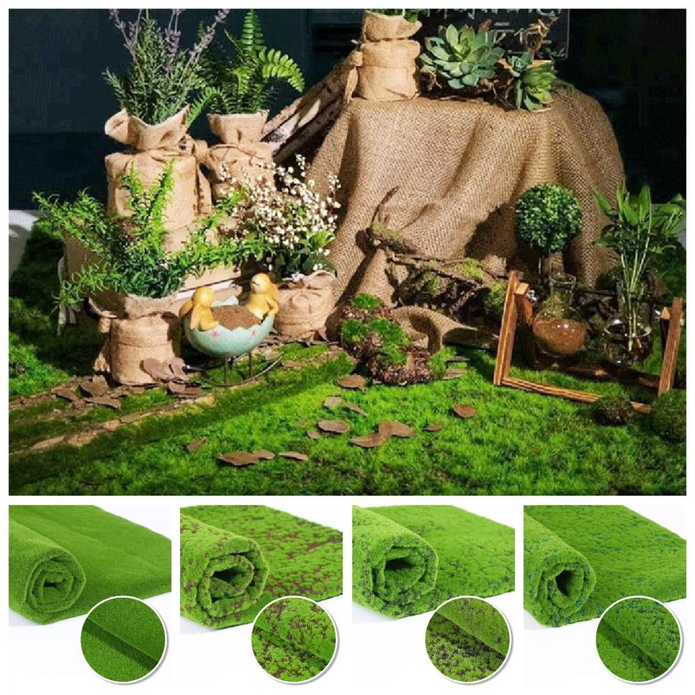 หญ้ามอสเทียม DIY ทนทาน ใช้งานไ - Sphagnum Moss Dry บทวิจารณ์และราคา