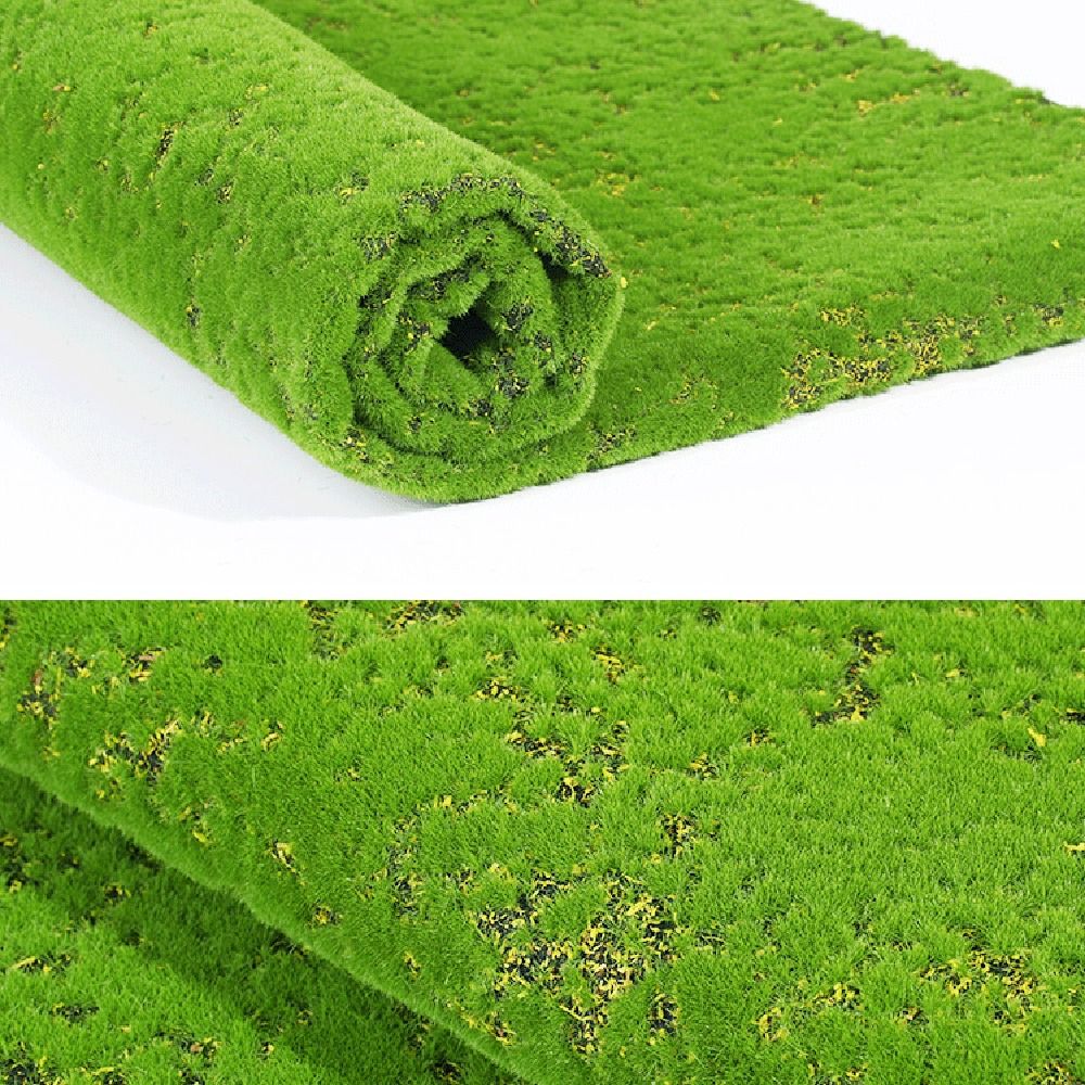 หญ้ามอสเทียม DIY ทนทาน ใช้งานไ - Sphagnum Moss Dry บทวิจารณ์และราคา
