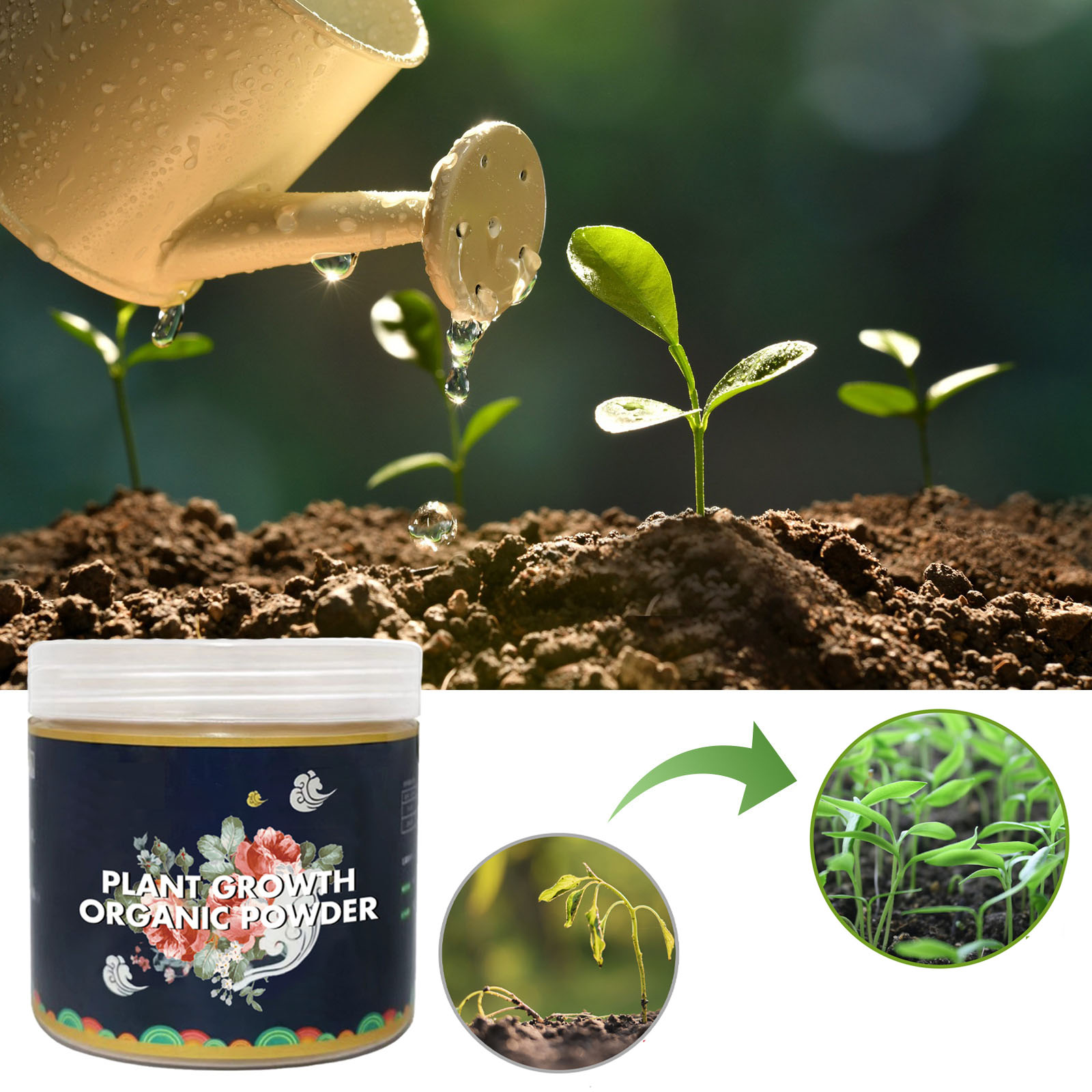 Fast Rooting Powder การปรับปรุ - Rooting Hormone Powder บทวิจารณ์และราคา
