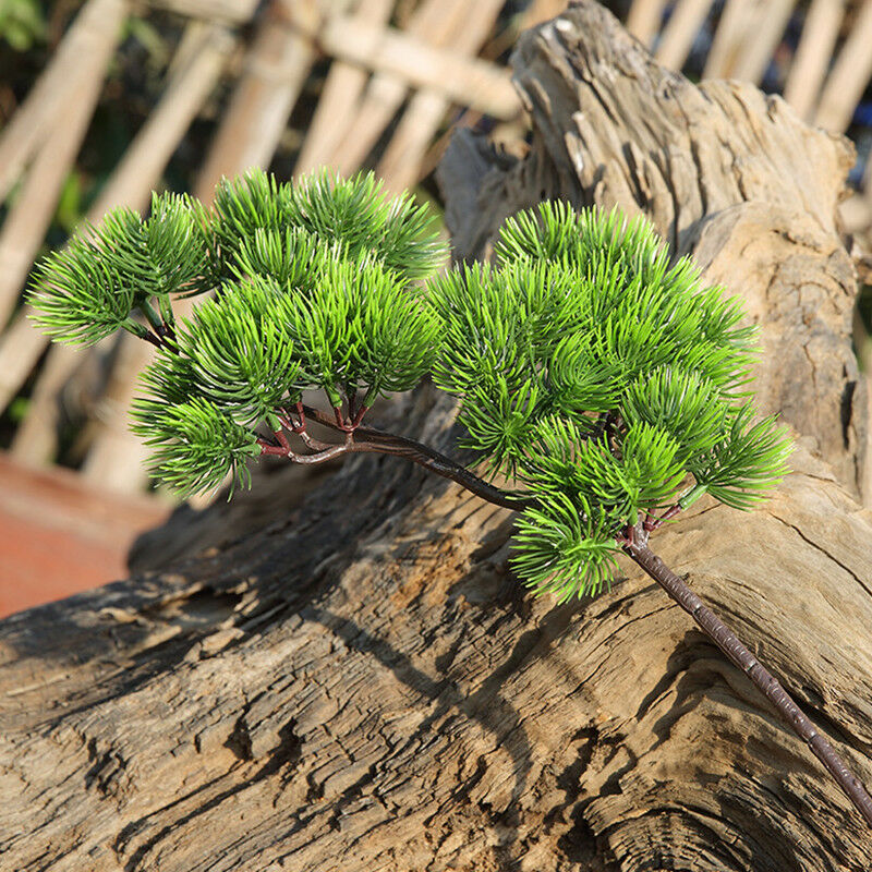 42 ซม.ประดิษฐ์ต้นสนสาขาสีเขียว - Sphagnum Moss Dry บทวิจารณ์และราคา