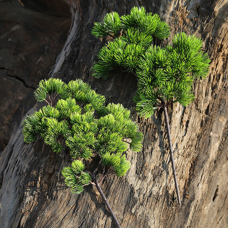 42 ซม.ประดิษฐ์ต้นสนสาขาสีเขียว - Sphagnum Moss Dry บทวิจารณ์และราคา