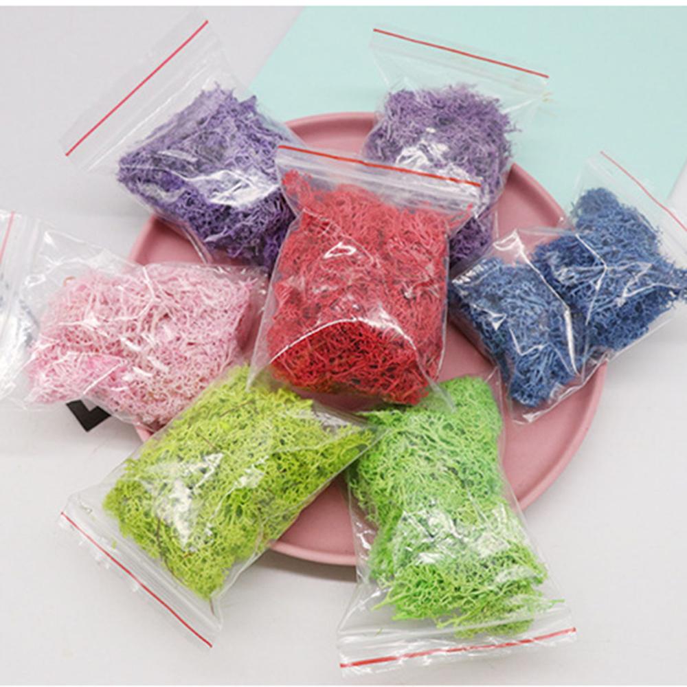 ประดิษฐ์ชีวิตนิรันดร์ MOSS Gar - Sphagnum Moss Dry บทวิจารณ์และราคา