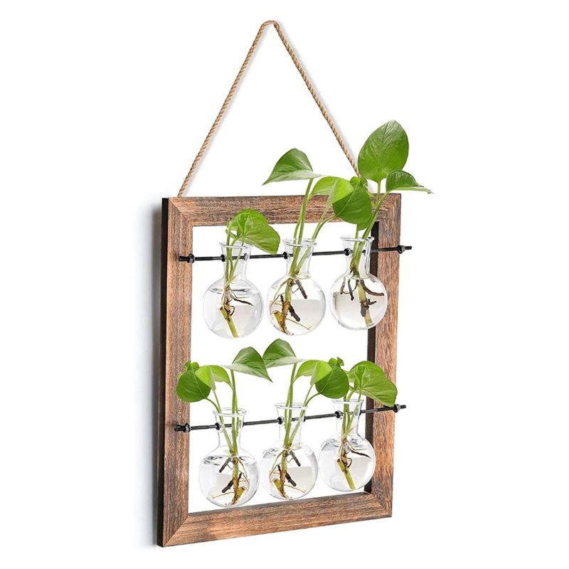 สถานีเพาะพันธุ์แบบแขวนผนัง, กร - Propagation Station Vase บทวิจารณ์และราคา