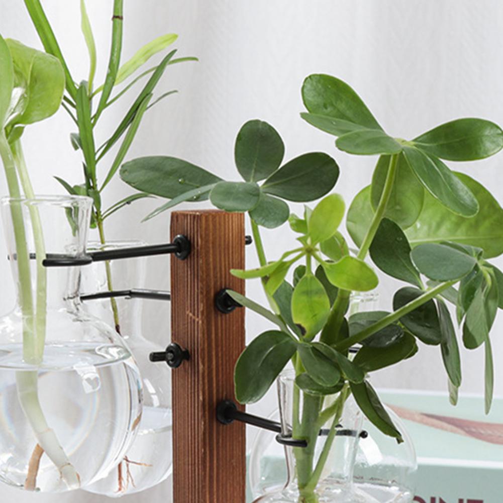 1 ชุด 10*25 ซม.พืช Propagation - Propagation Station Vase บทวิจารณ์และราคา
