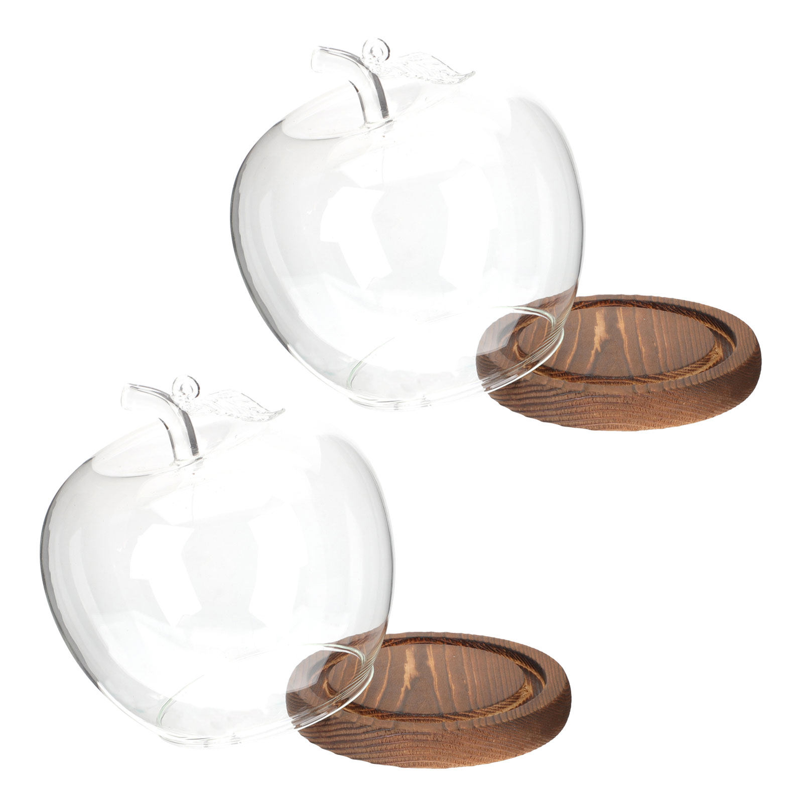 โดมแก้วใส 2 ชิ้นพร้อมฐานไม้ สำ - Plastic Dome Clear บทวิจารณ์และราคา