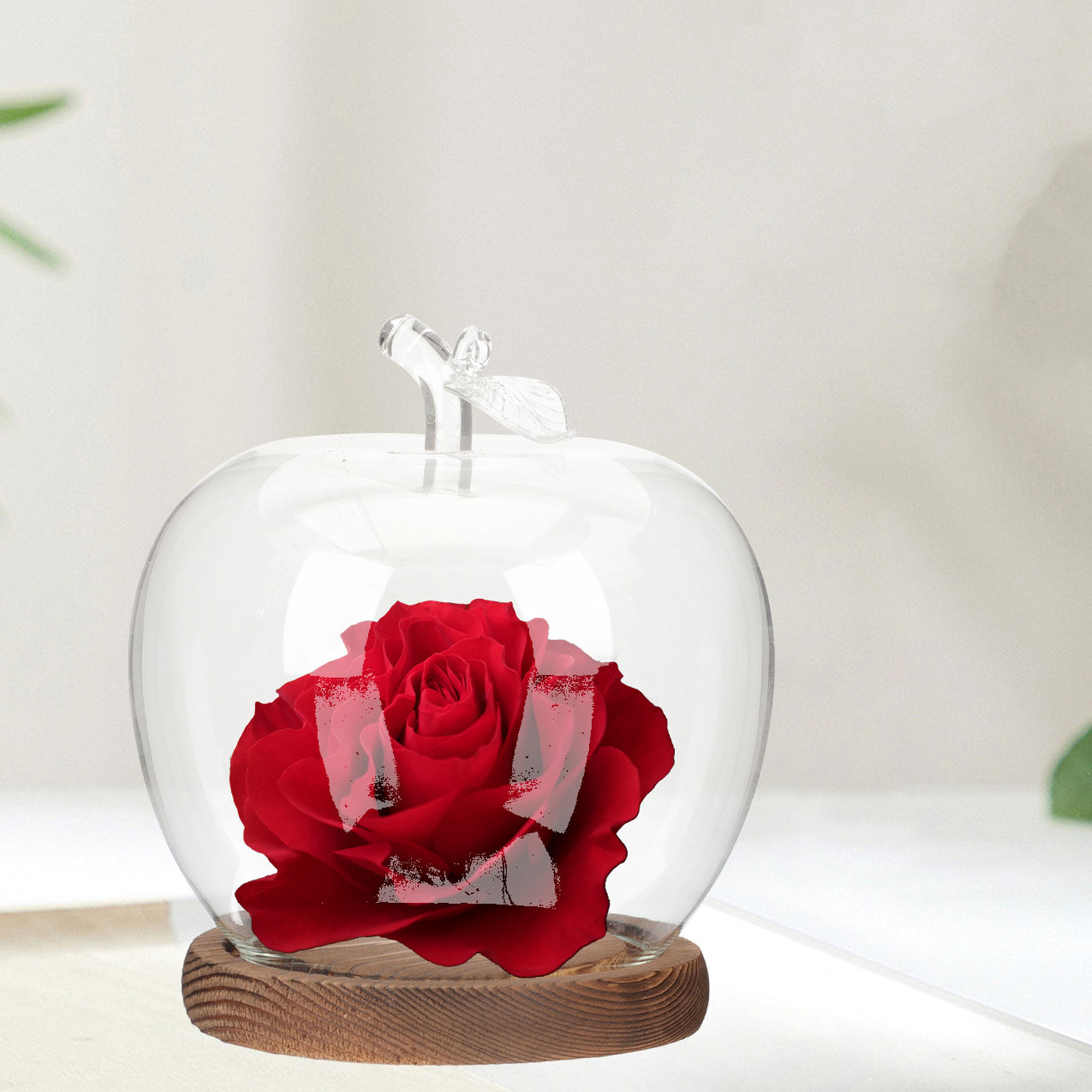 โดมแก้วใส 2 ชิ้นพร้อมฐานไม้ สำ - Plastic Dome Clear บทวิจารณ์และราคา